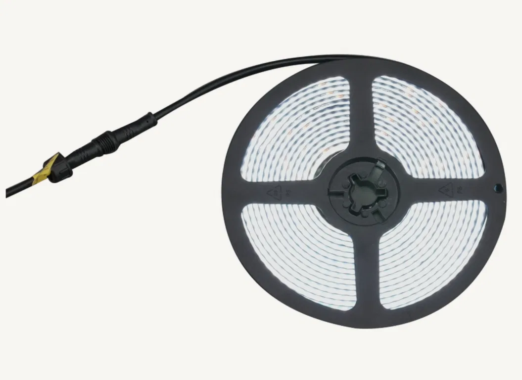 RSCS24 – RACESPORT LT Rope Light, LED Strip 12 Volt 24 Foot IP65 Rating 50,000 Hours Life Expectancy